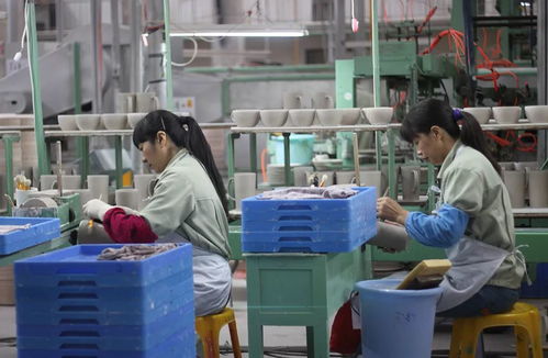 恭喜 德化这两家工厂入选为2019年度福建省观光工厂