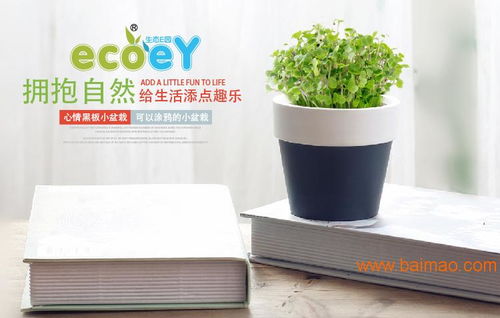 创意与自然的完美融合 探索Ecoey迷你陶瓷花盆与茶盘的艺术魅力